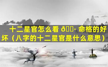 十二星官怎么看 🌷 命格的好坏（八字的十二星官是什么意思）